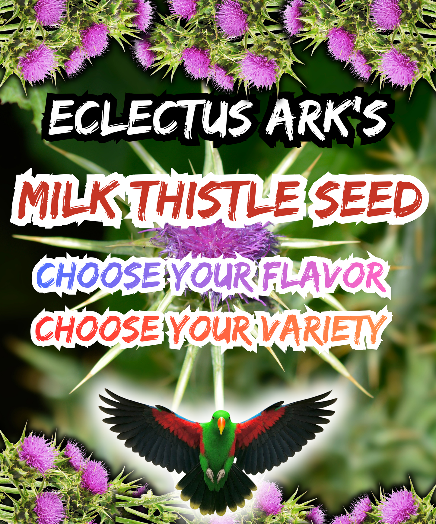 Milk Thistle Seeds - Choose Your Variety/Flavor