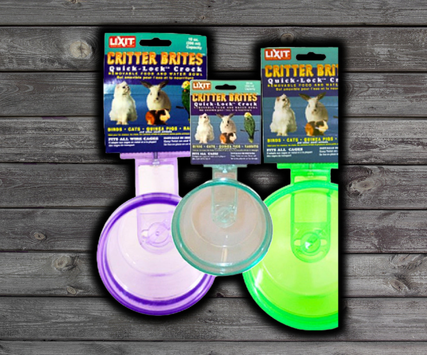 Lixit Quick Lock Crock Critter Brites