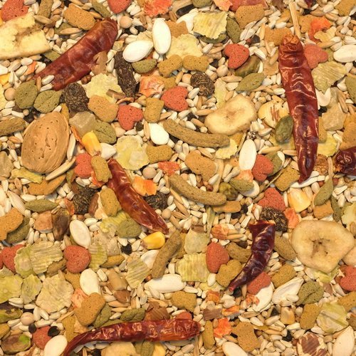 Higgins® Vita Seed® California Blend – Natural Parrot Seed Mix