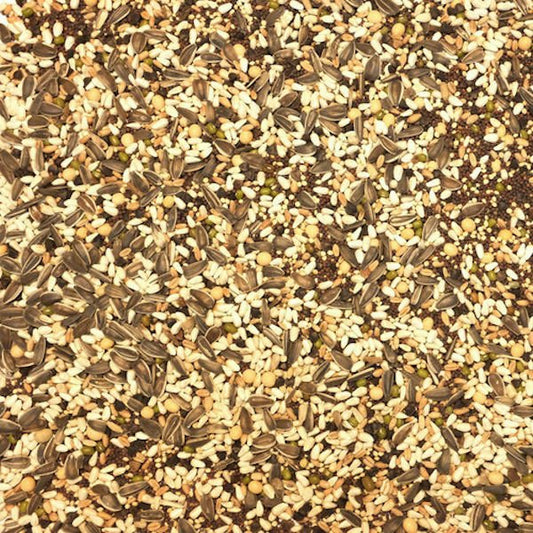 Higgins Sunburst Soak N' Sprout with Quinoa 3 Oz