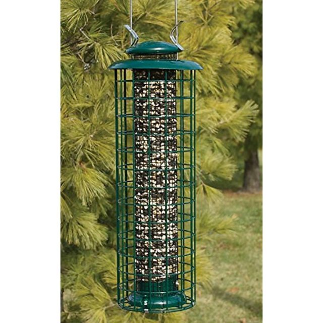 Audubon caged bird feeder for black oil sunflower seed or peanuts with 1½ inch grid design to help deter squirrels and larger birds.