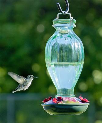 Audubon fluted glass hummingbird feeder with bronze base, four red feeding flowers, and decorative glass top for backyard bird feeding.