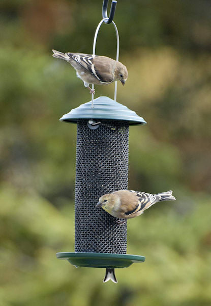 Audubon Mini Magnum Nyjer screen feeder with durable metal construction and 0.75 lb capacity for thistle seed feeding.