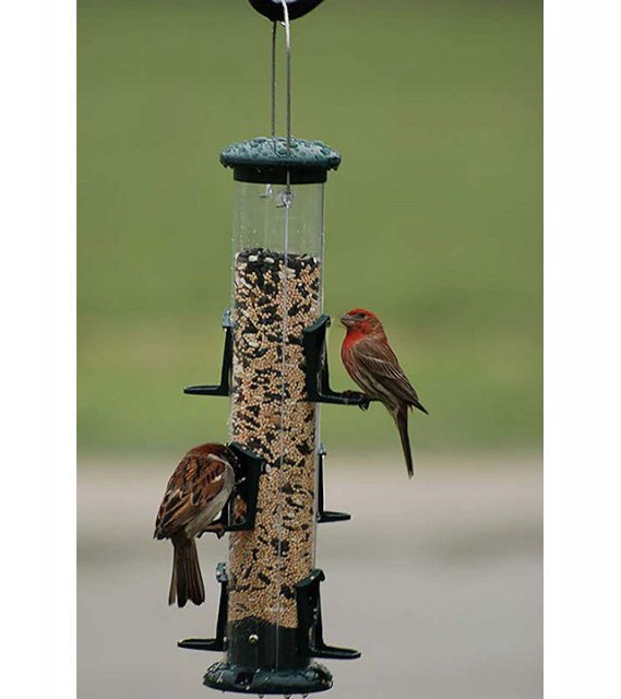 Audubon 15 inch plastic tube bird feeder with six feeding ports and green metal accents for backyard songbird feeding
