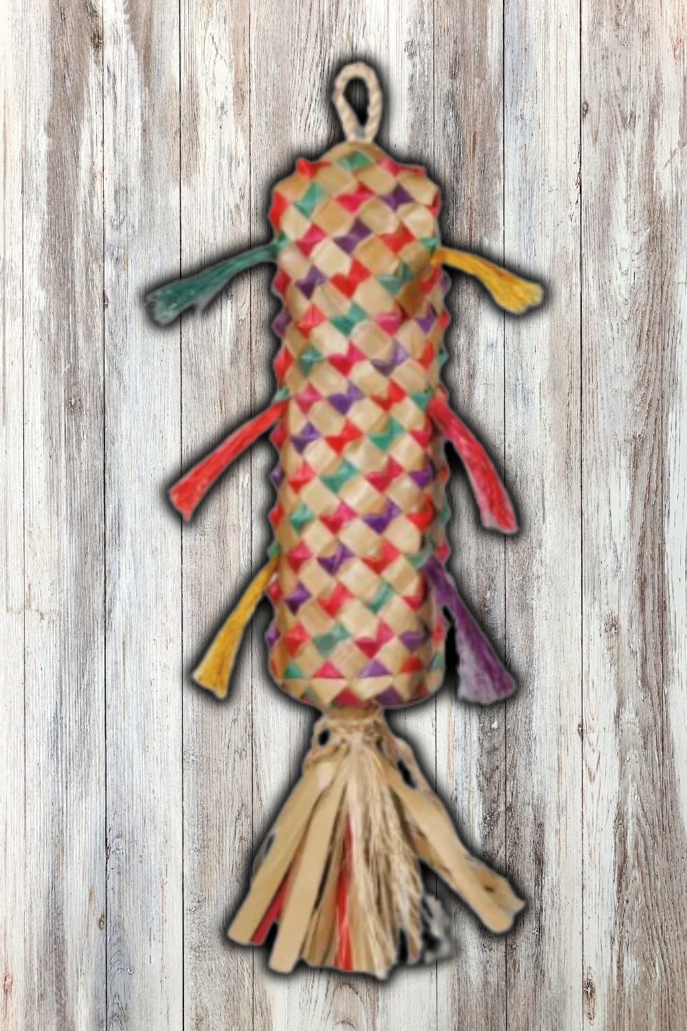 Planet Pleasures Pinata Spiked Bird Toy