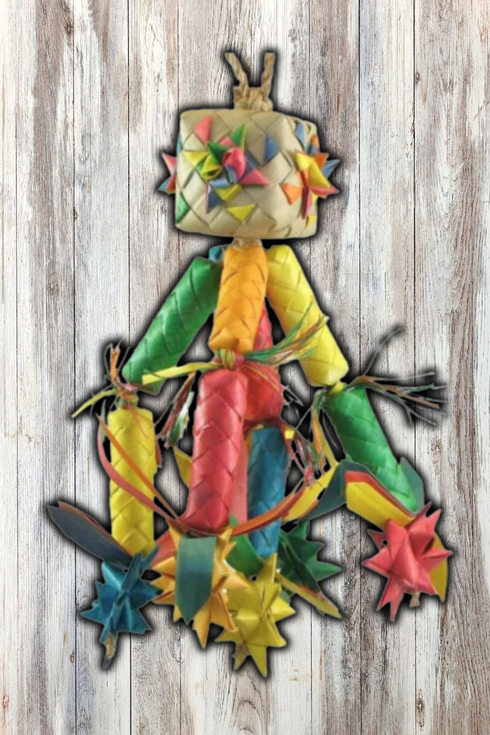 Planet Pleasures Firecracker Bird Toy