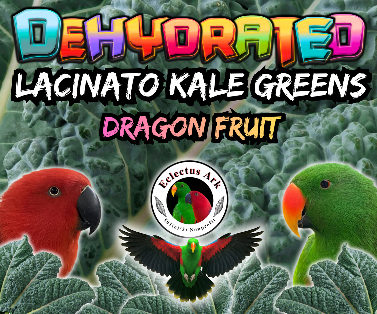 Dehdrated Lacinato Kale Greens - Choose Your Flavor