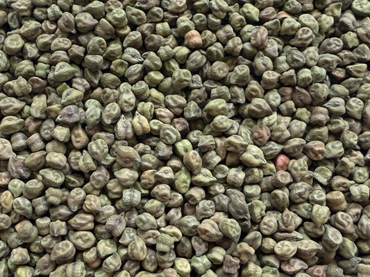 Eclectus Ark dried green chick peas for parrots – soak, sprout, or serve dry for nutritious bird treats”