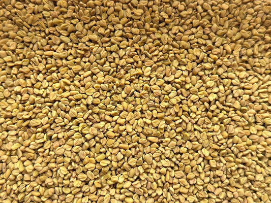 Eclectus Ark fenugreek seeds for parrots – soak, sprout, or use as a food topper