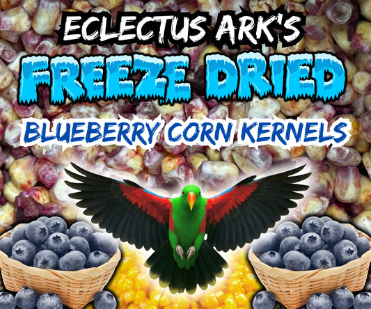 Freeze Dried Blueberry Battered Sweet Corn