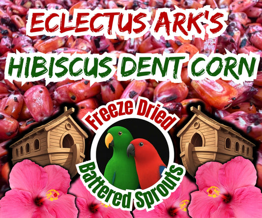 Freeze Dried Hibiscus Battered Corn Sprouts