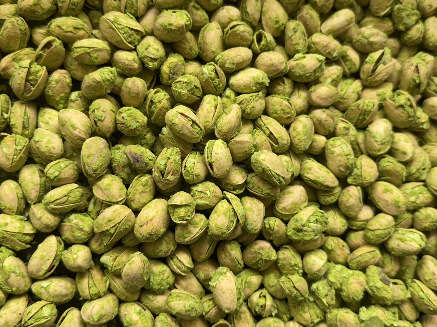 Freeze dried pistachios coated in fresh green bean puree, handmade parrot treat from Eclectus Ark.