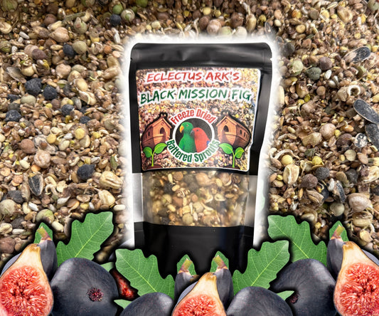 Freeze Dried Sprouts - Black Mission Fig Battered