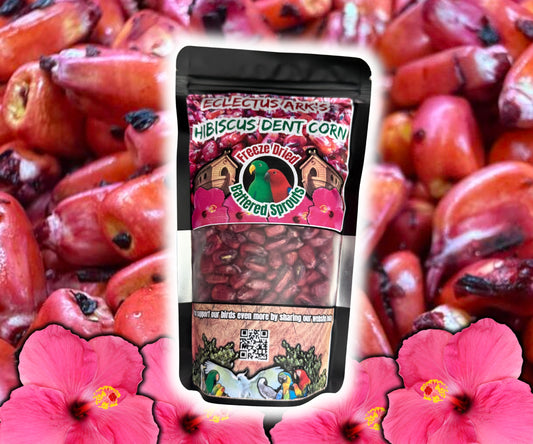 Freeze Dried Hibiscus Battered Corn Sprouts