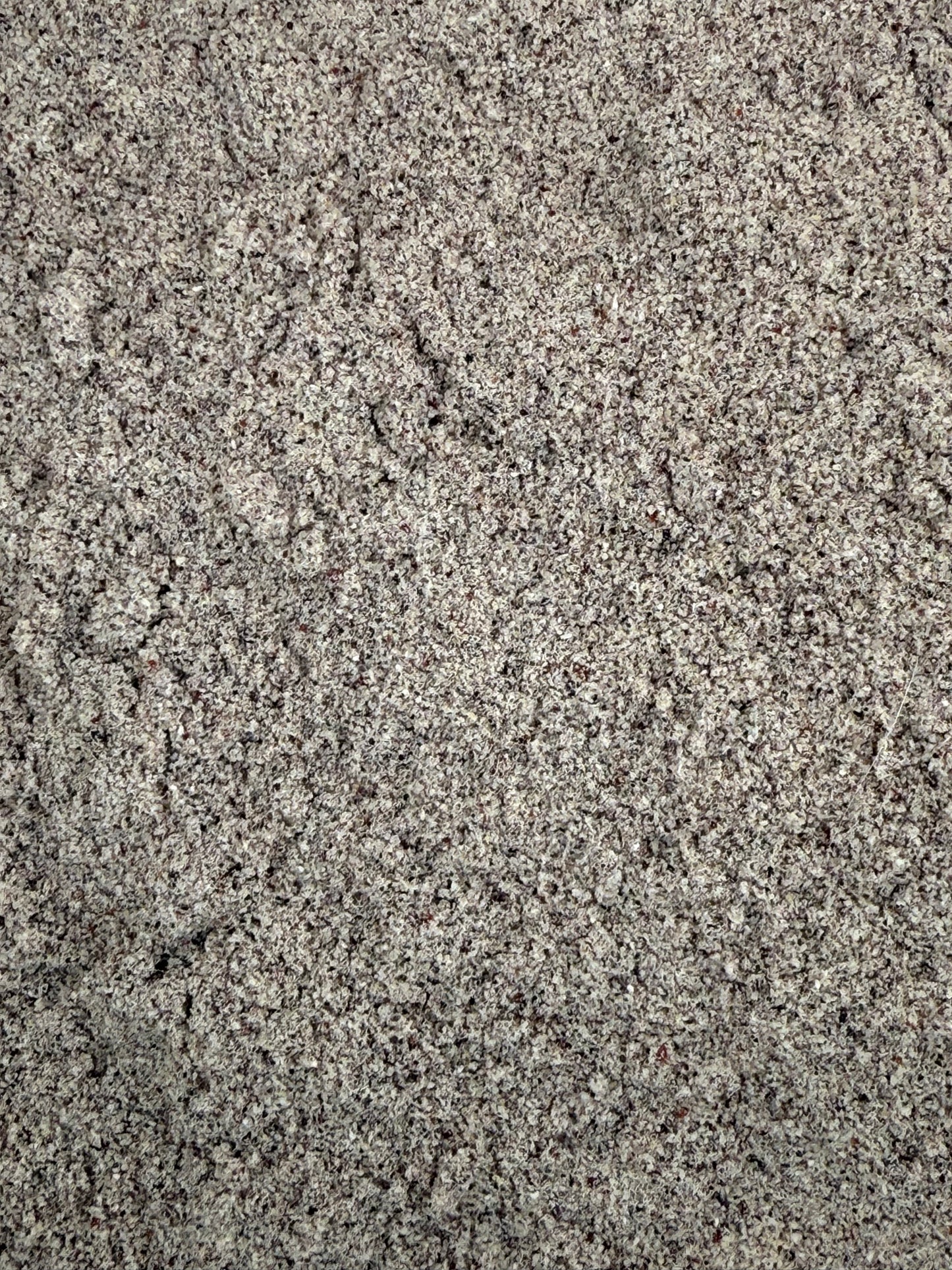 Eclectus Ark's Seasoning Cabinet - Elderberry & Coconut