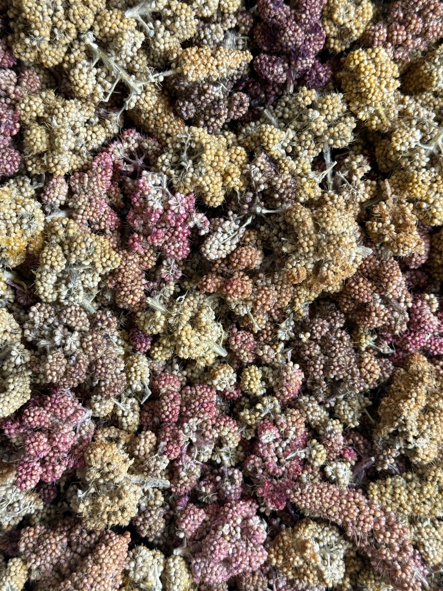 Dehydrated Tropical Fruit Millet Spray