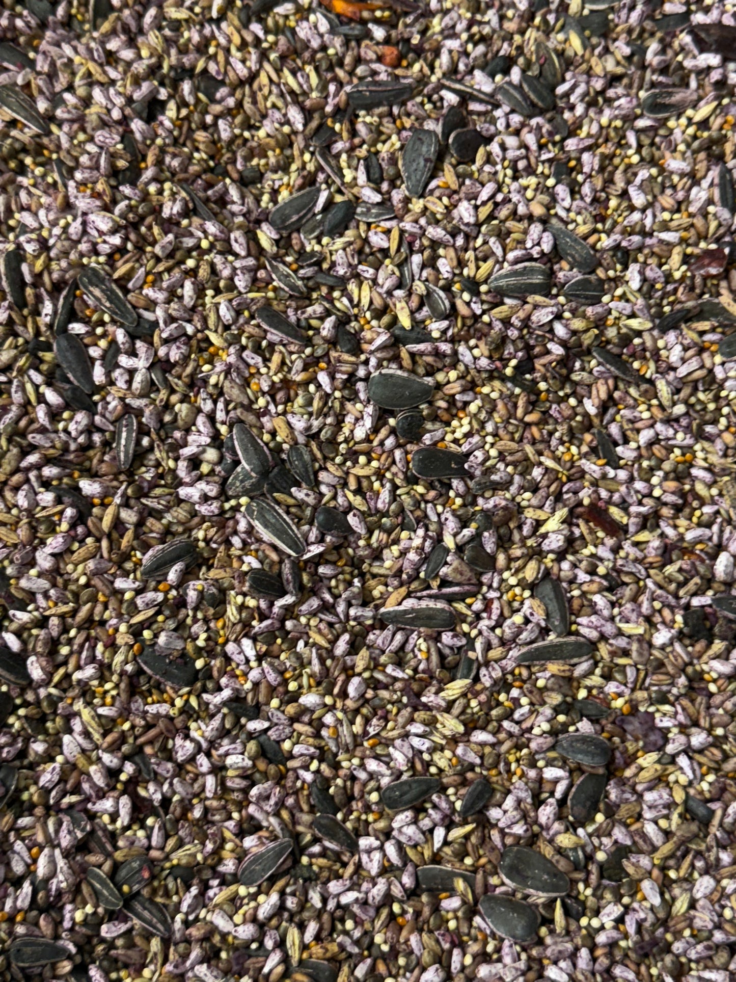 Dehydrated Blackberry Battered Seed Mix