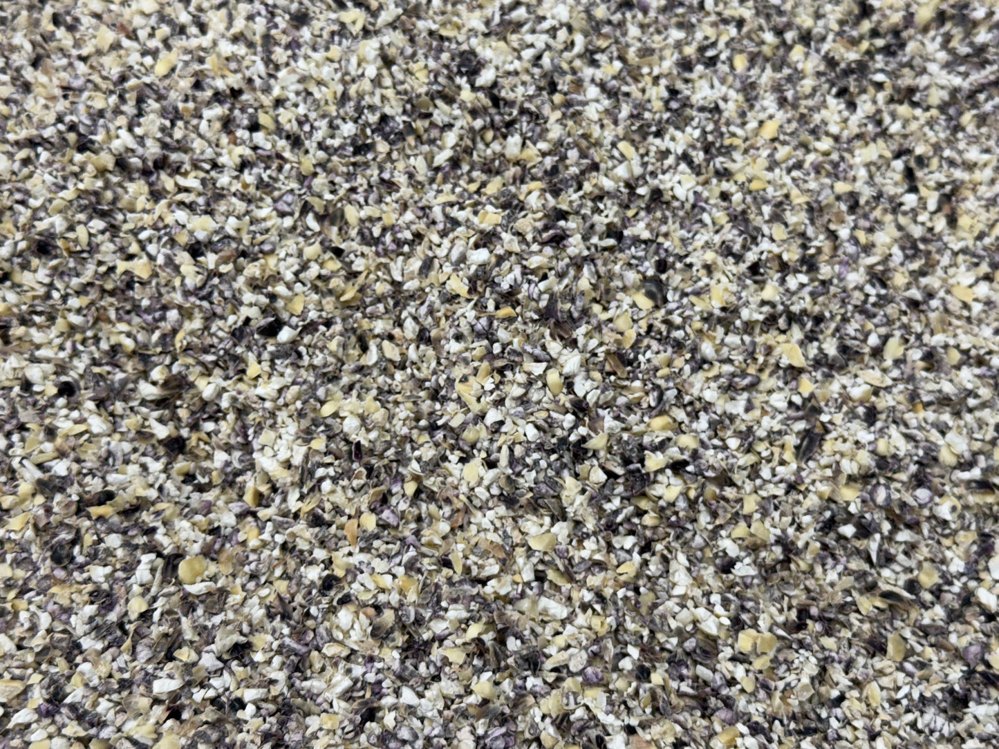Soak & Serve - Blue & White Cracked Corn