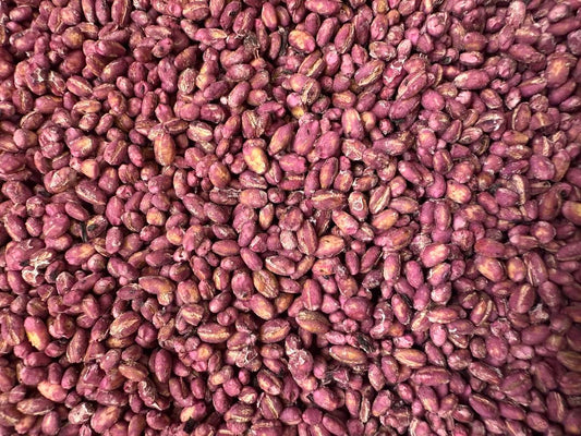 Close up photo of our Habiscus Flower Infused Pearl Barley for all parrot species