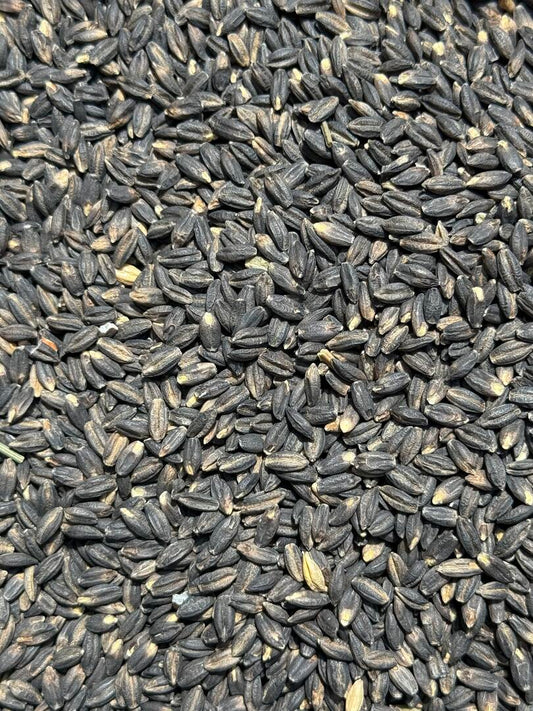Soak & Serve - Healthy Grains - Black Pearl Barley