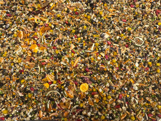 Soak & Serve Mix - Citrus Burst Medley