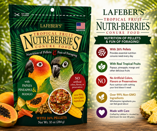 Lafeber Tropical Fruit Nutri-Berries for conures with pineapple, papaya, mango, hulled white proso millet, safflower, red millet, peanuts, 26% pellets, vitamins, minerals, and omega fatty acids for conures, caiques, Senegals, Meyer’s parrots, and small parrots. 10 oz bag Promo