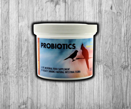 Morning Bird Probiotics – Live Microbial Supplement for Birds’ Gut and Digestive Health