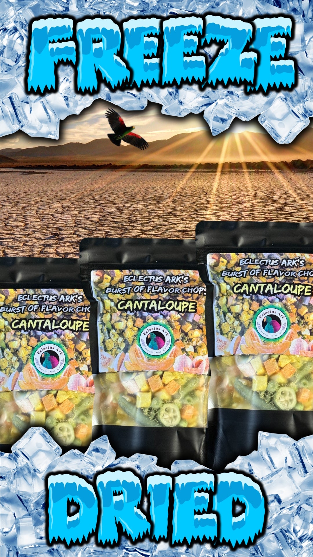 Burst of Flavor Freeze Dried Chop - Cantaloupe Battered