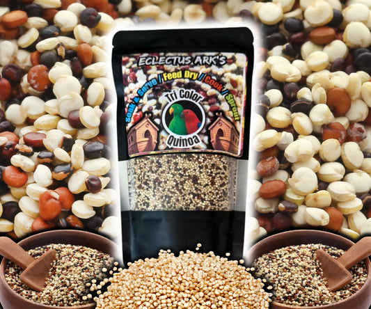 Tri Color Quinoa