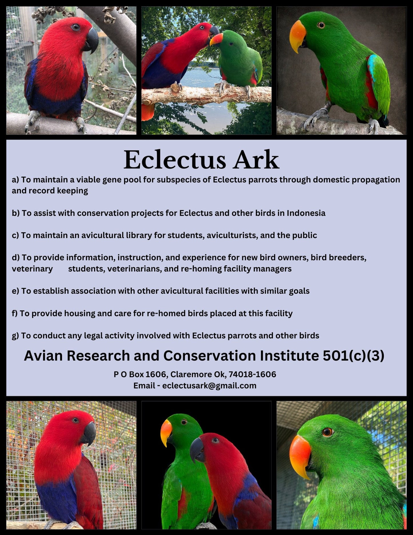 Eclectus Ark's Premium Seed Mix 2lbs