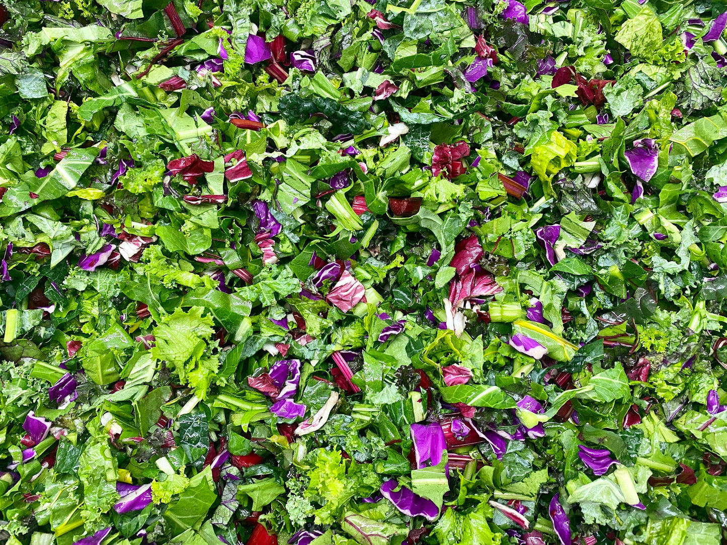 Freeze Dried Italian Spiced Super Greens 1 oz