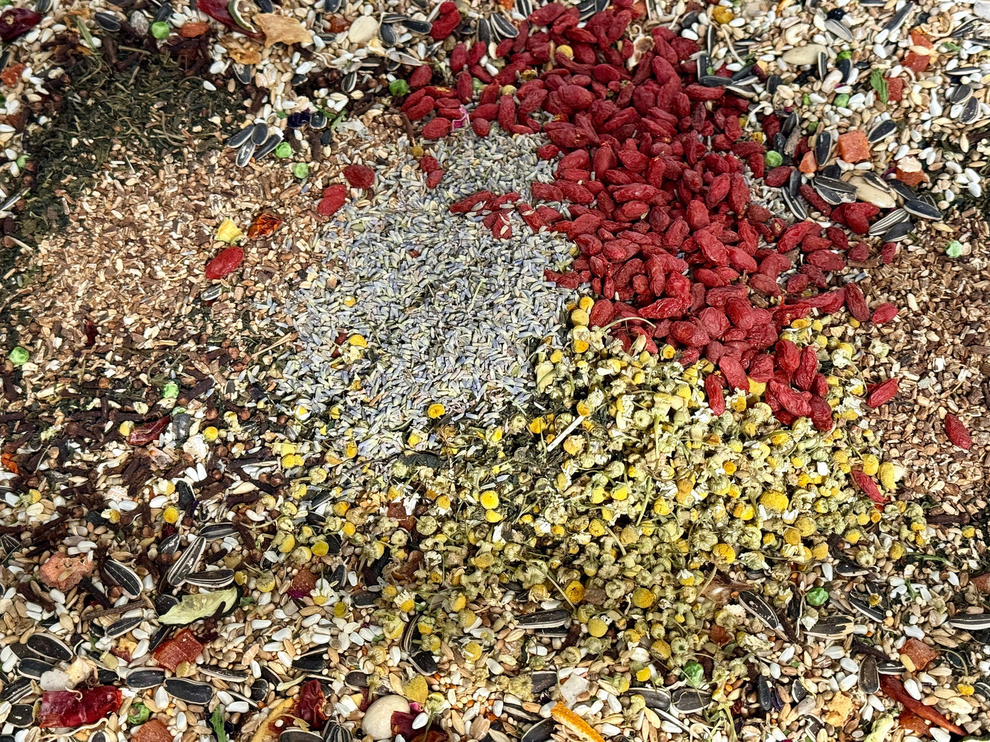 Eclectus Ark's Premium Seed Mix 2lbs