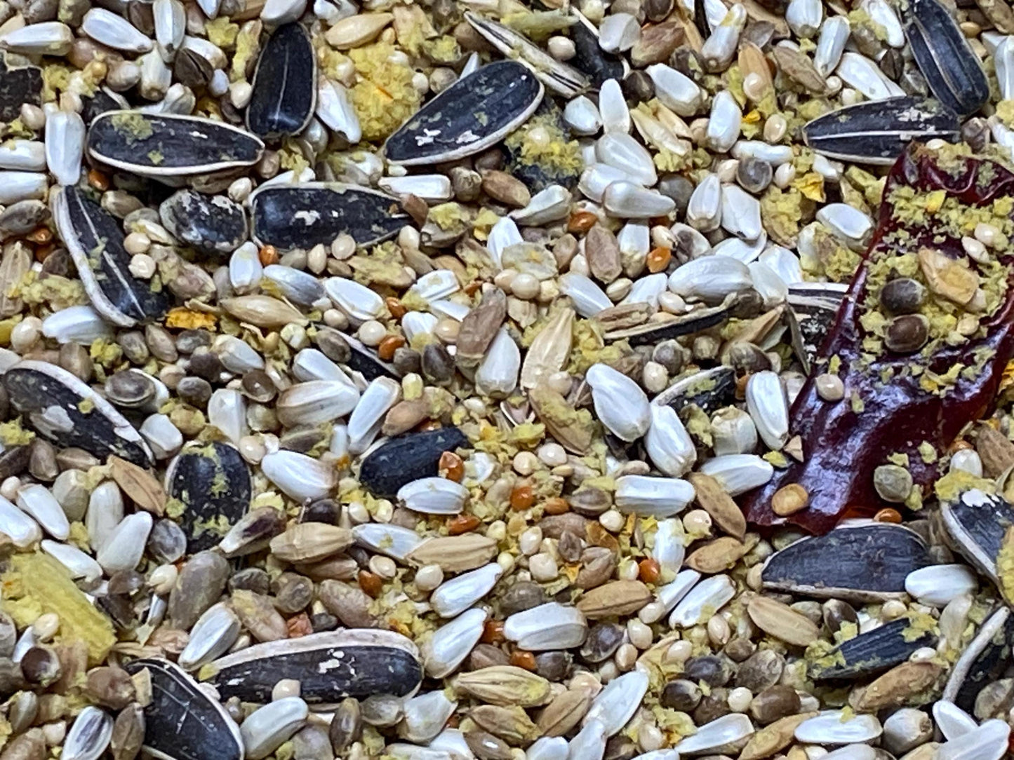 Freeze Dried Pumpkin Battered Seed Mix 1 lb Bag