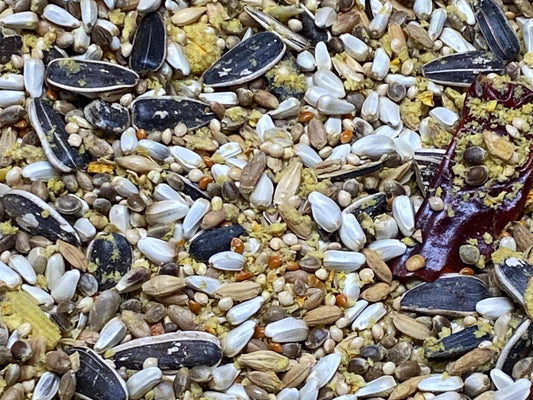 Freeze Dried Pumpkin Battered Seed Mix 1 lb Bag