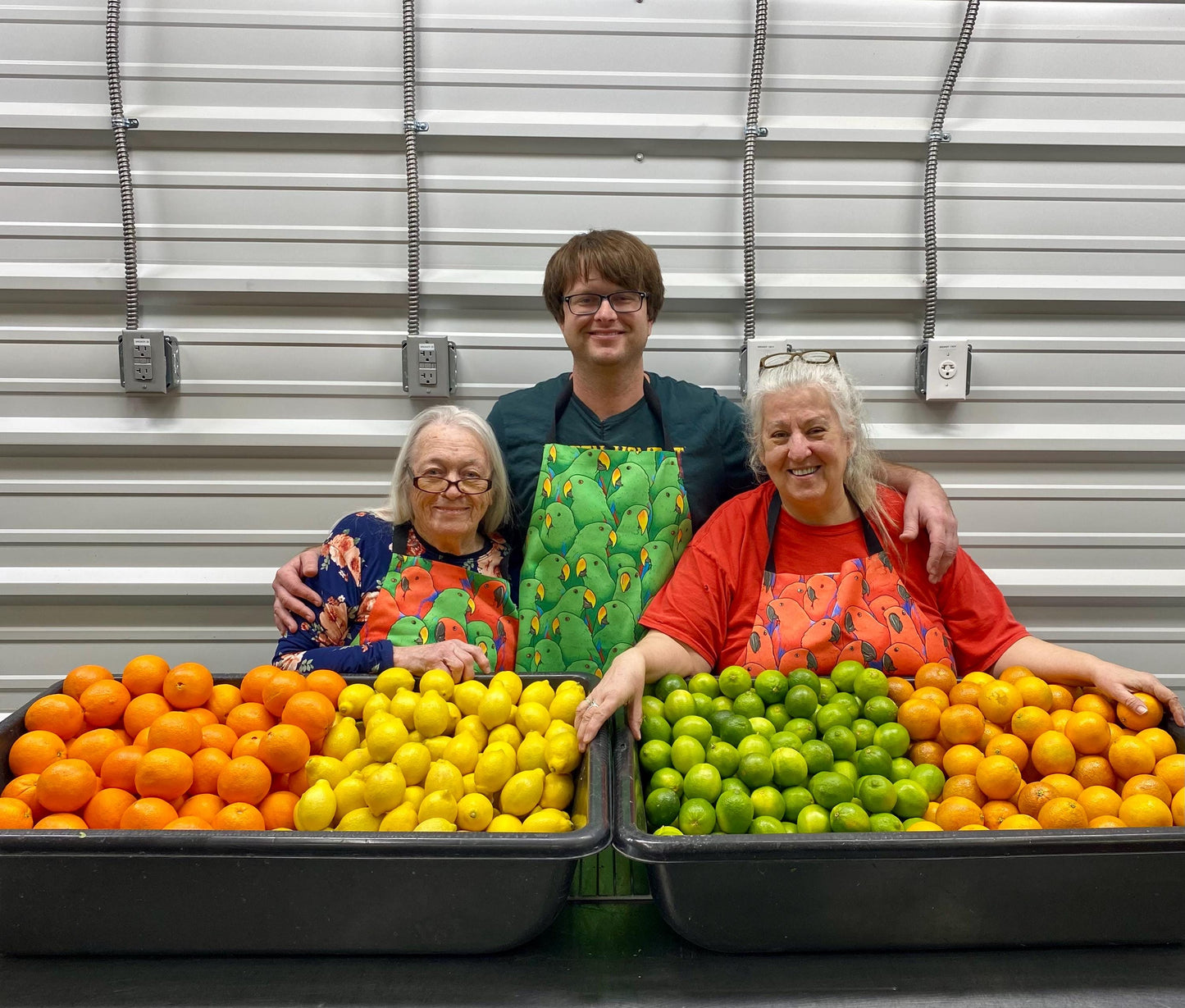 Freeze Dried Seed Coated Banana Slices