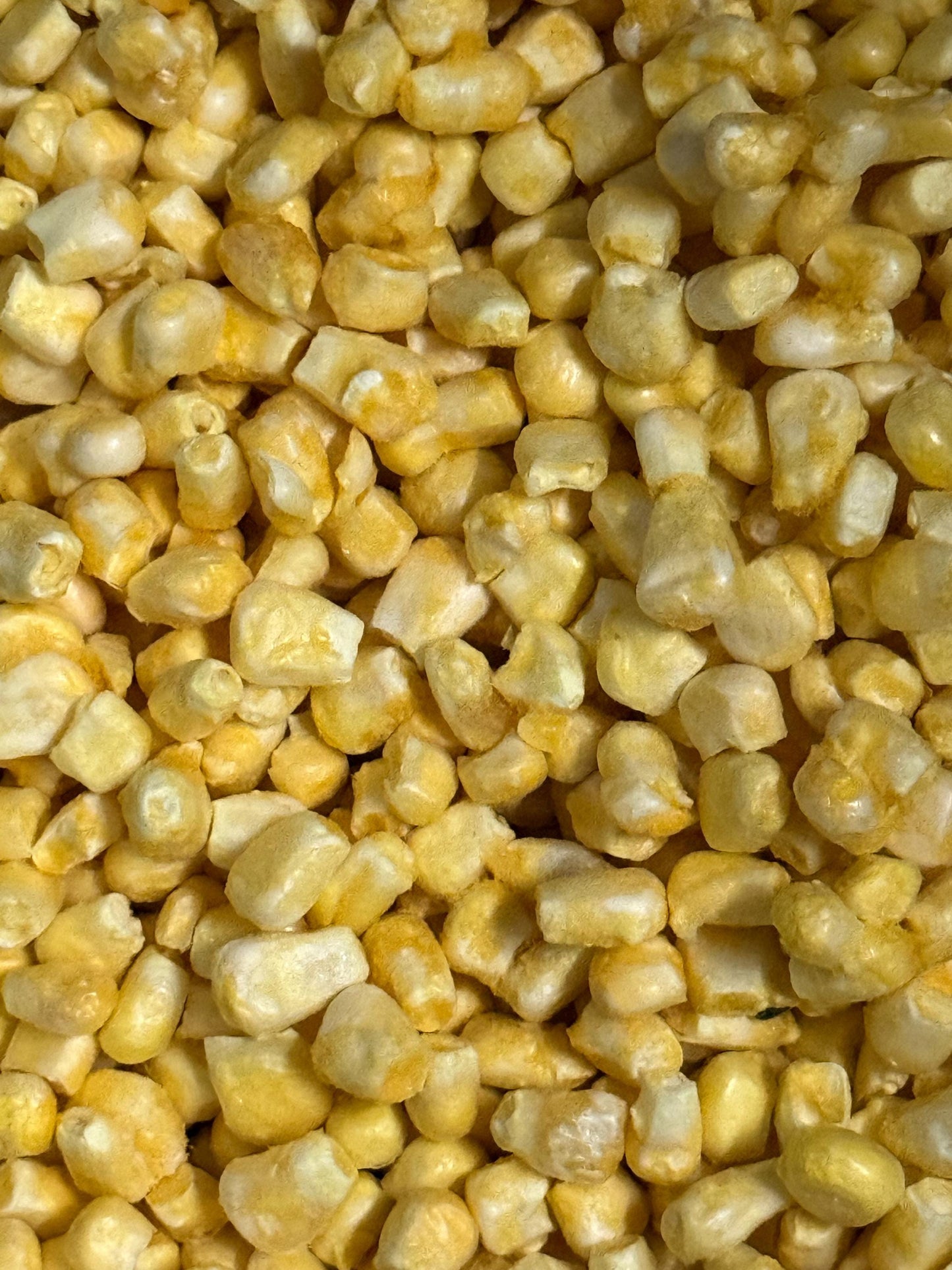 Freeze Dried Passion Fruit & Kale Battered Sweet Corn