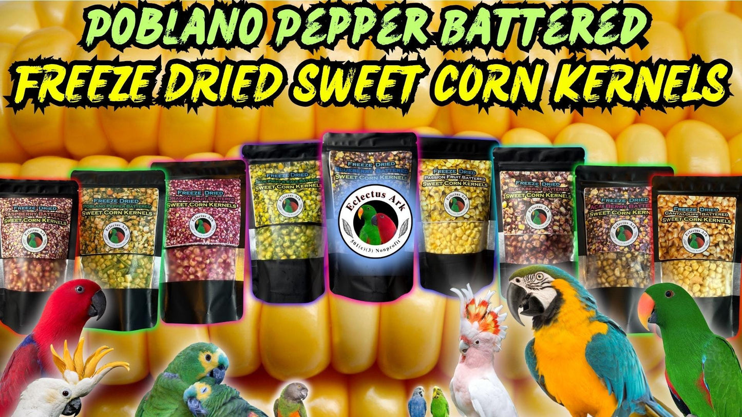 Freeze Dried Pobalano Pepper Battered Sweet Corn