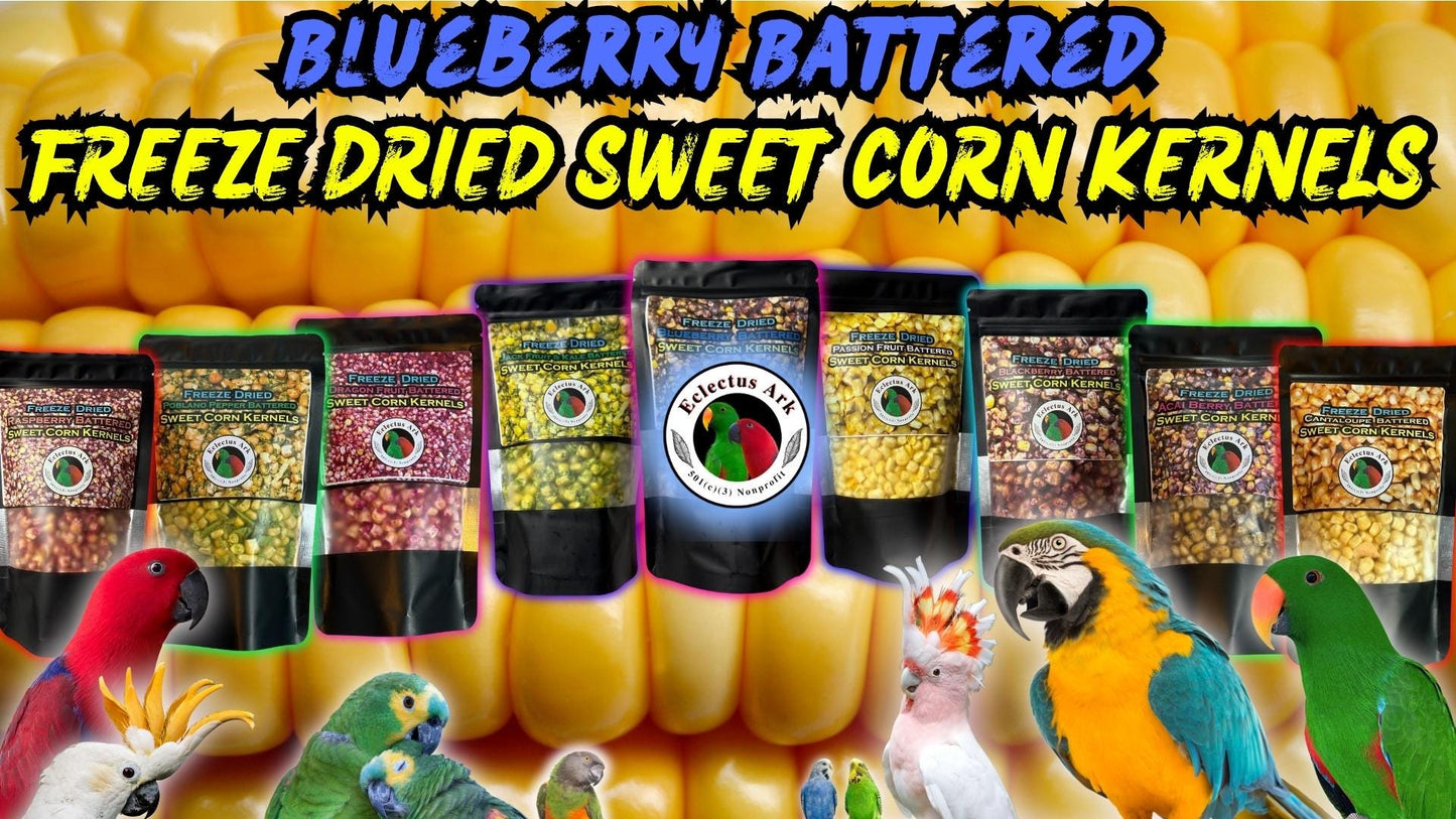 Freeze Dried Blueberry Battered Sweet Corn