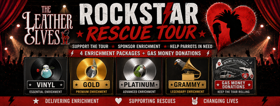 Rockstar Rescue Tour 2026