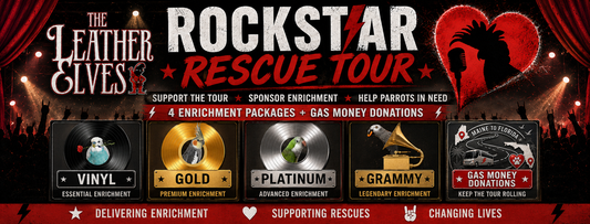 Rockstar Rescue Tour 2026