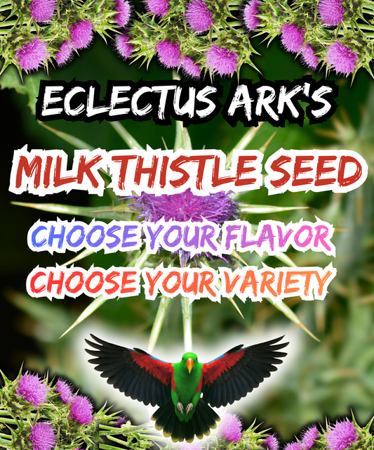 Milk Thistle Seeds - Choose Your Variety/Flavor