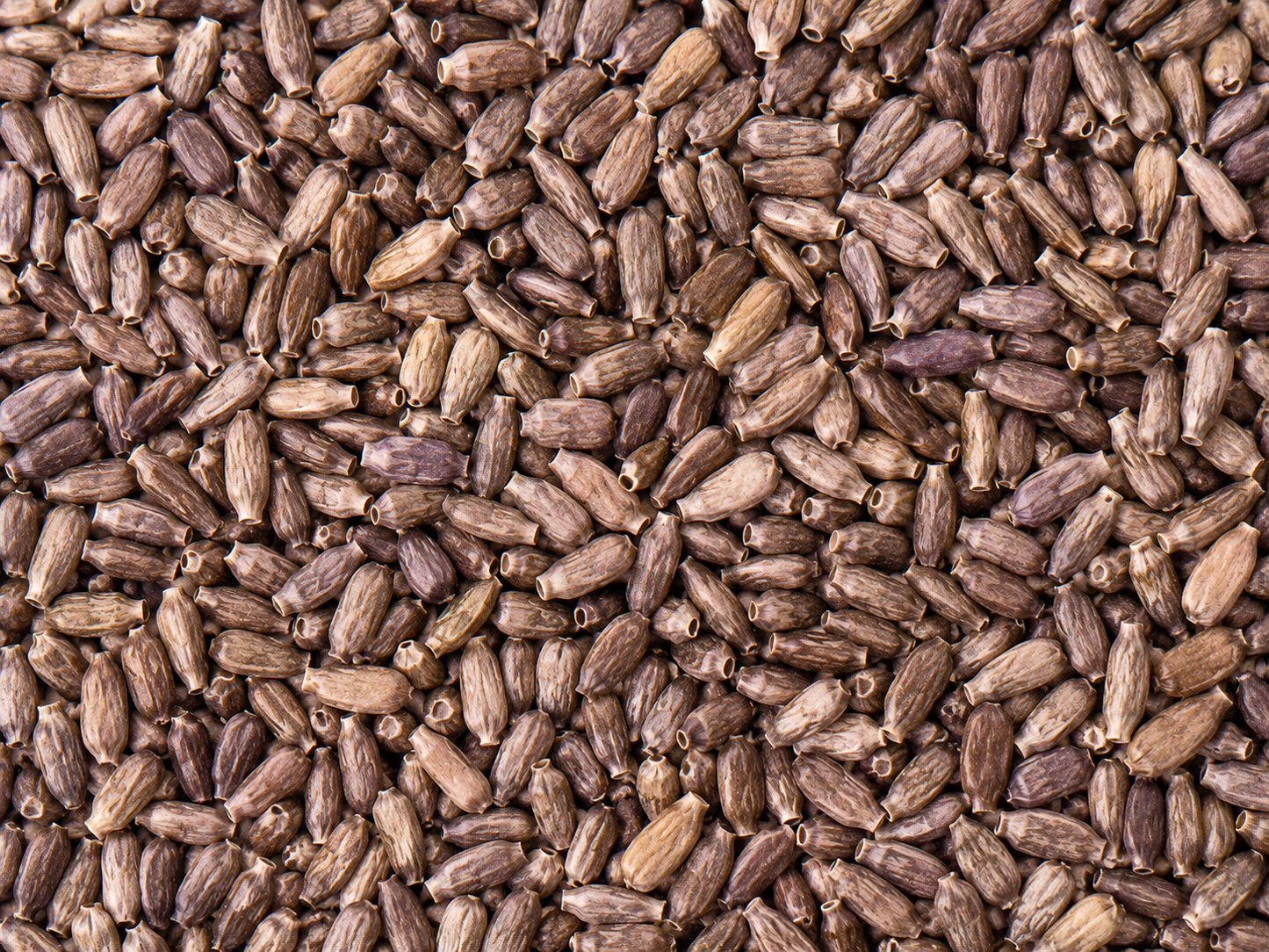 Milk Thistle Seeds - Choose Your Variety/Flavor