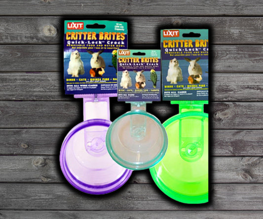 Lixit Quick Lock Crock Critter Brites