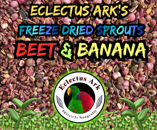 Freeze Dried Sprouts Beet & Banana