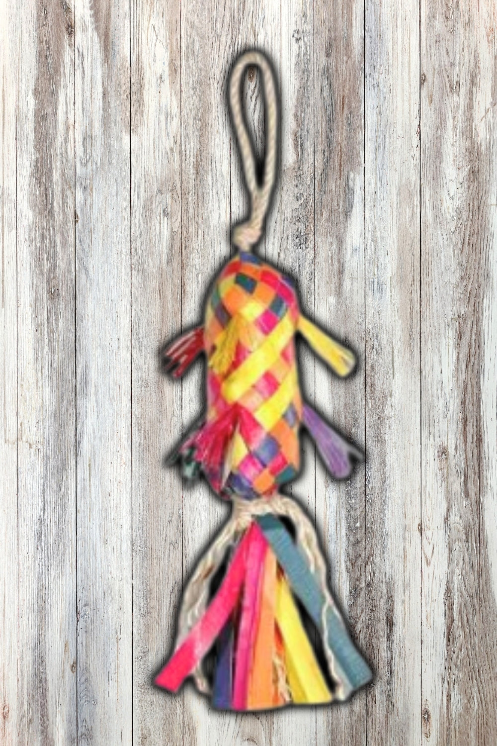 Planet Pleasures Mini Pinata Bird Toy