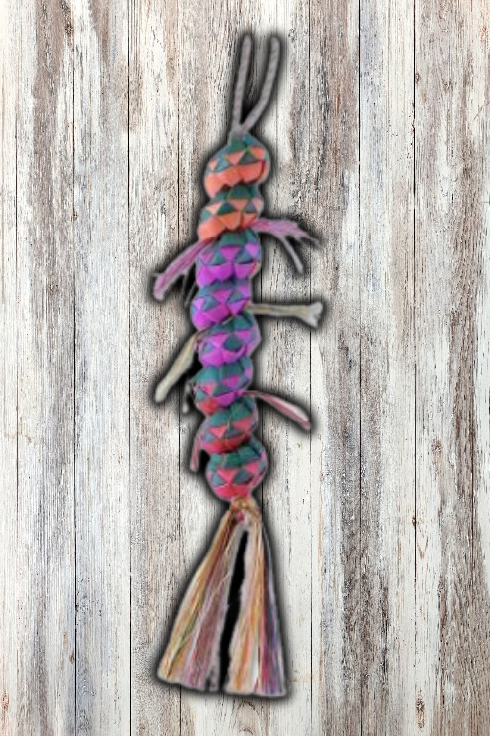 Planet Pleasures Caterpiller Bird Toy