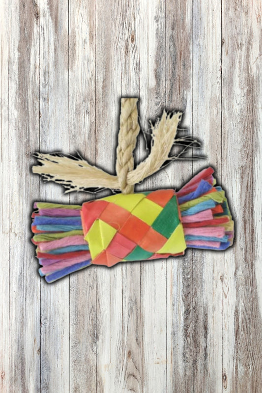 Planet Pleasures String & Buri Bundle Bird Toy