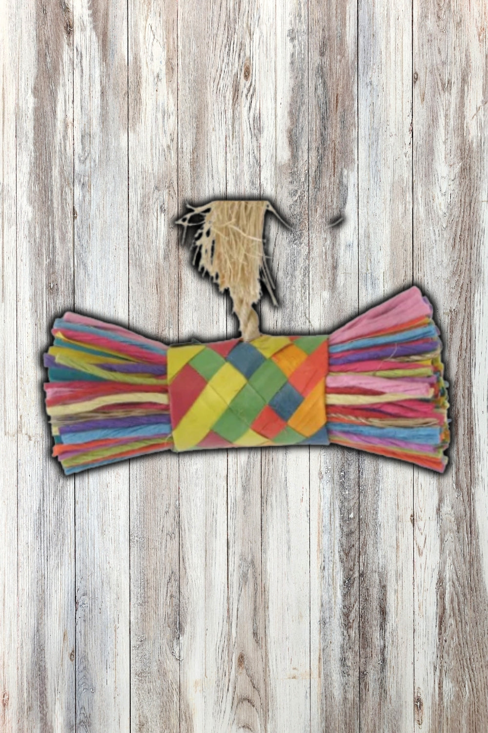 Planet Pleasures String & Buri Bundle Bird Toy