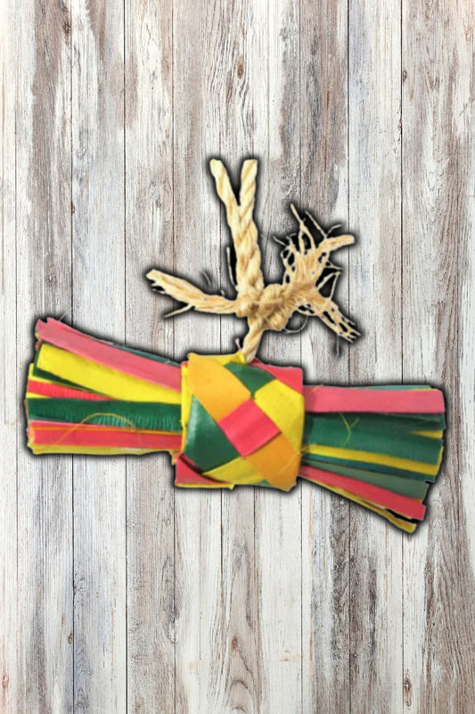 Planet Pleasures String & Buri Bundle Bird Toy