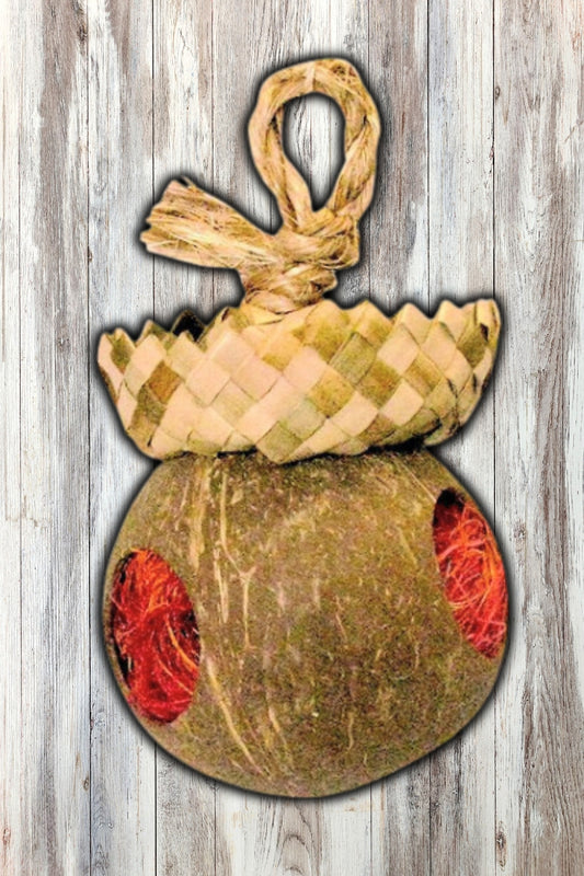 Planet Pleasures Coco Forage Mini Bird Toy